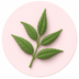 Neem