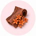 Ashoka Bark