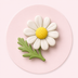 Chamomile