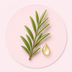 Tea Tree Leaf Oil
