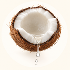 Caprylic / Capric Triglyceride