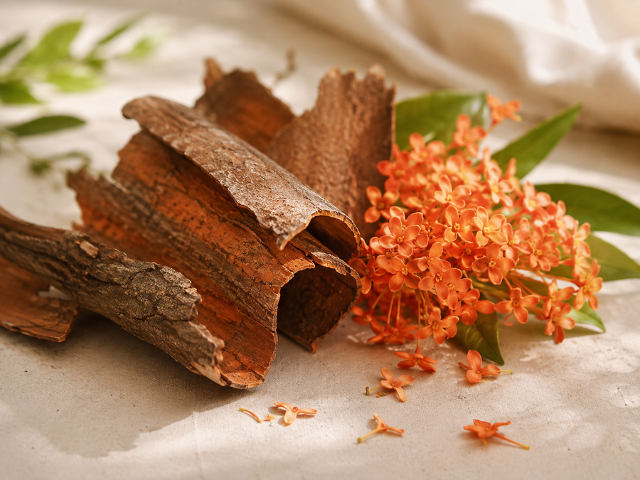 Ashoka Bark