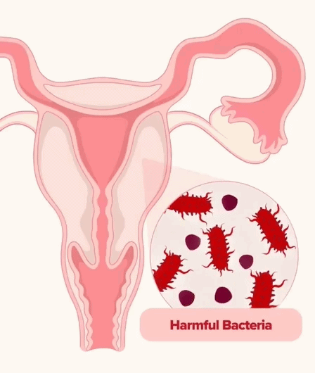 The Science Behind Happy Her