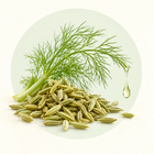 Fennel Seed Oil