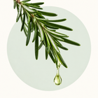Rosemary